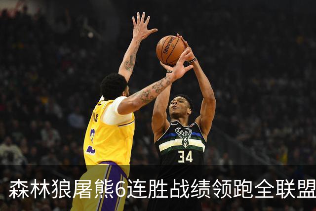 森林狼屠熊6连胜战绩领跑全联盟 骑士力克热火