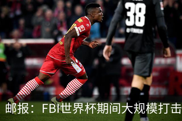 邮报：FBI世界杯期间大规模打击无人机活动，一名非法移民被捕
